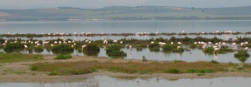 IMG_6210 gc 4 (6) v2