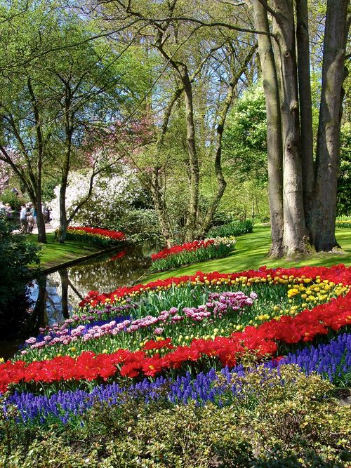 Keukenhof blog 7