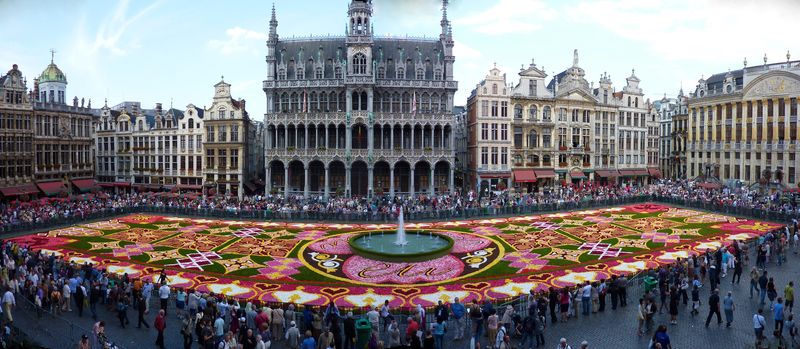 Flower carpet big camera new version