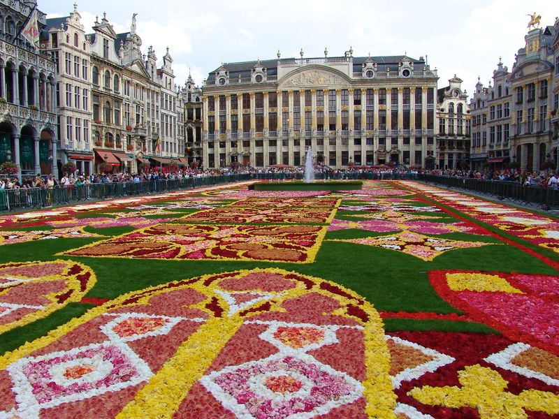 Flower carpet big camera 22