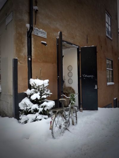 Christmas trip 2010 152