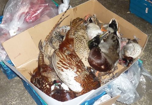 London thanksgiving 6