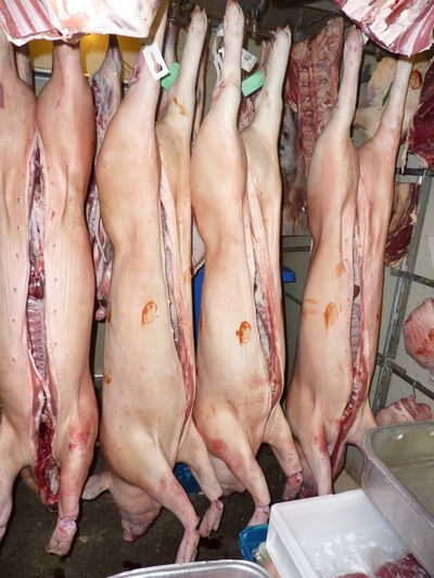 London thanksgiving 11