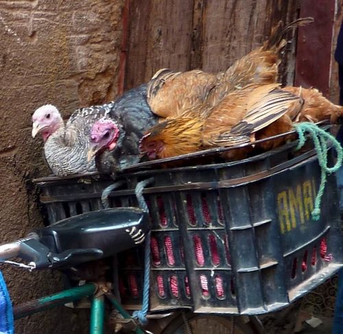 Marrakesh for the blog 28