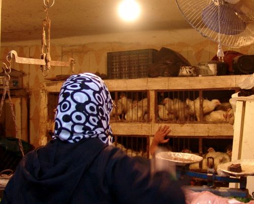 Marrakesh for the blog 36