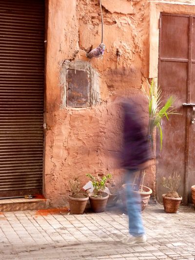 Marrakesh for the blog 51