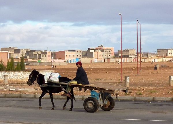 Marrakesh for the blog 81