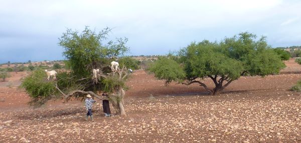 Marrakesh for the blog 91