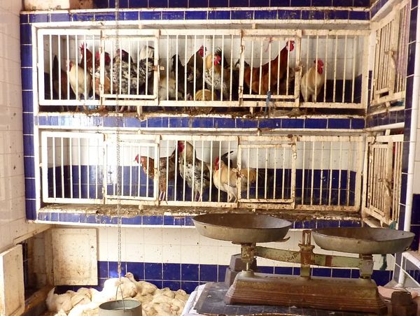 Marrakesh for the blog 132