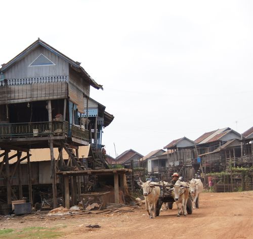 Stilted village for album