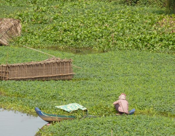 Stilted village for blog 44