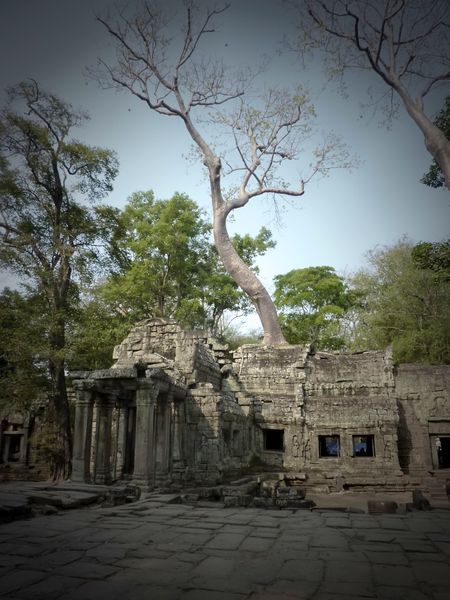 Temples of cambodia 10