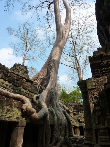 Temples of cambodia 2 (1)