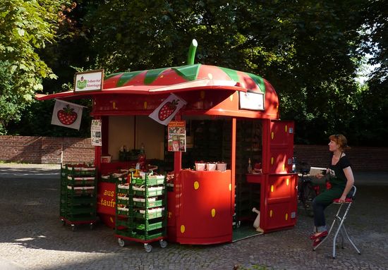 Berlin and hamburg 17