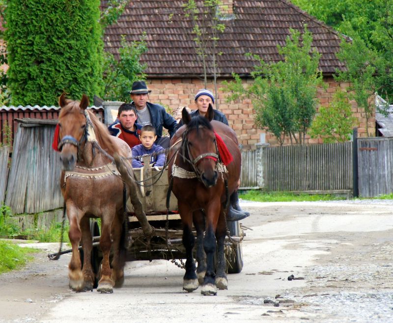 ROMANIA people 8