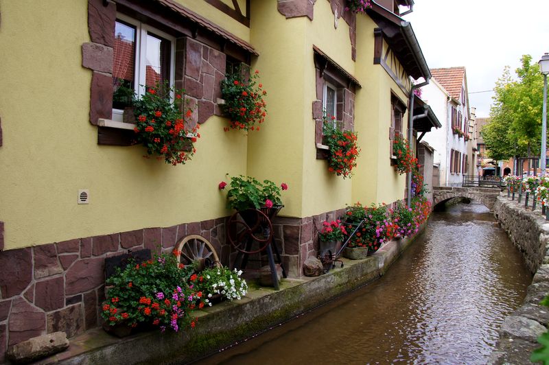 Alsace blog 28