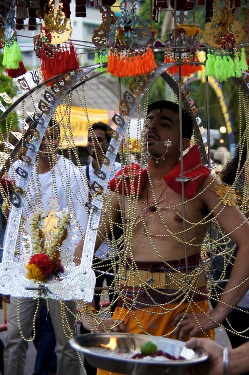 Thaipusam 50