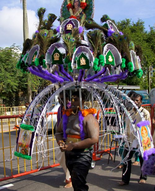 Thaipusam 19