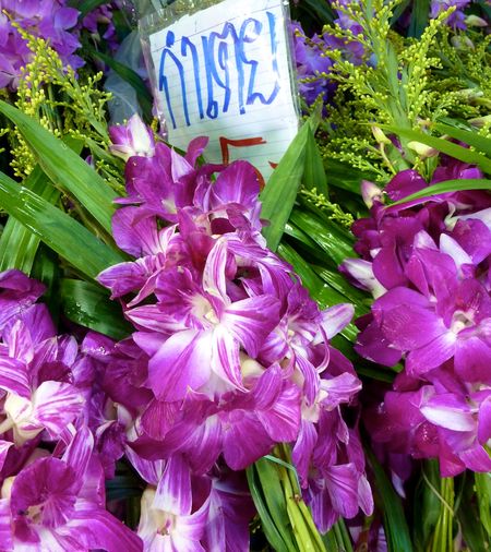 BANGKOK APRIL 2012 19