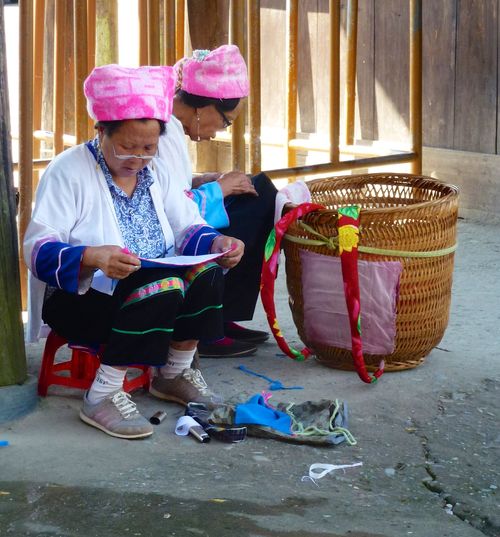 Rice fields china 66