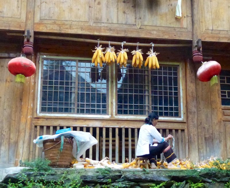 Rice fields china 60