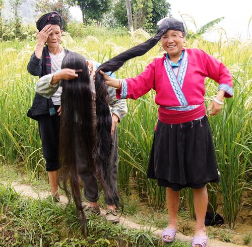 Rice fields china 22