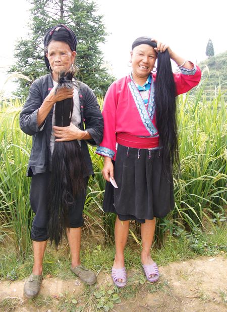 Rice fields china 24