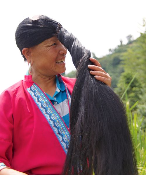 Rice fields china 25