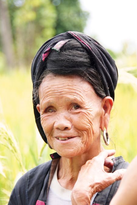 Rice fields china 29
