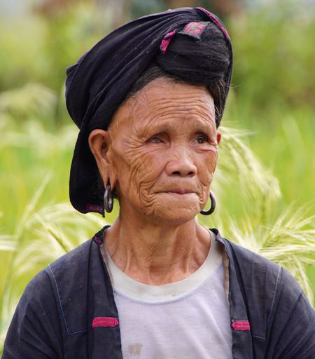 Rice fields china 21