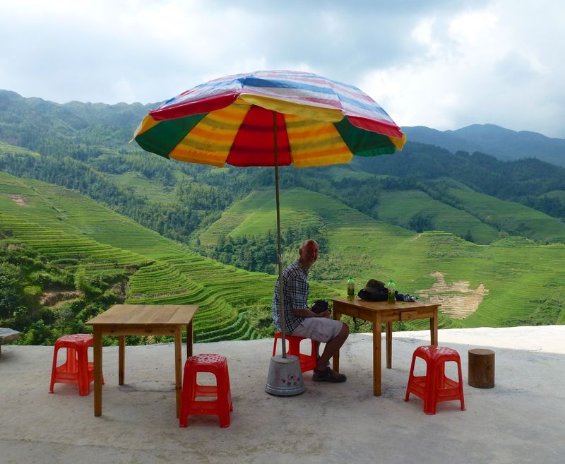 Rice fields china 46