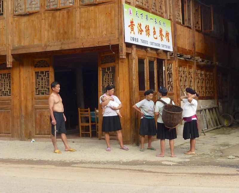 Rice fields china 52