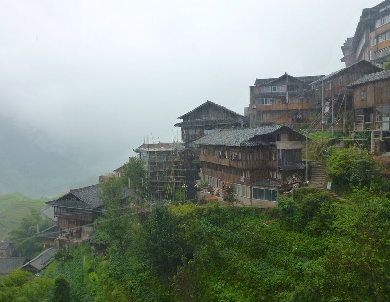 Rice fields china 61