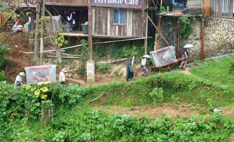Rice fields china 63