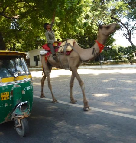 New delhi india 3 24