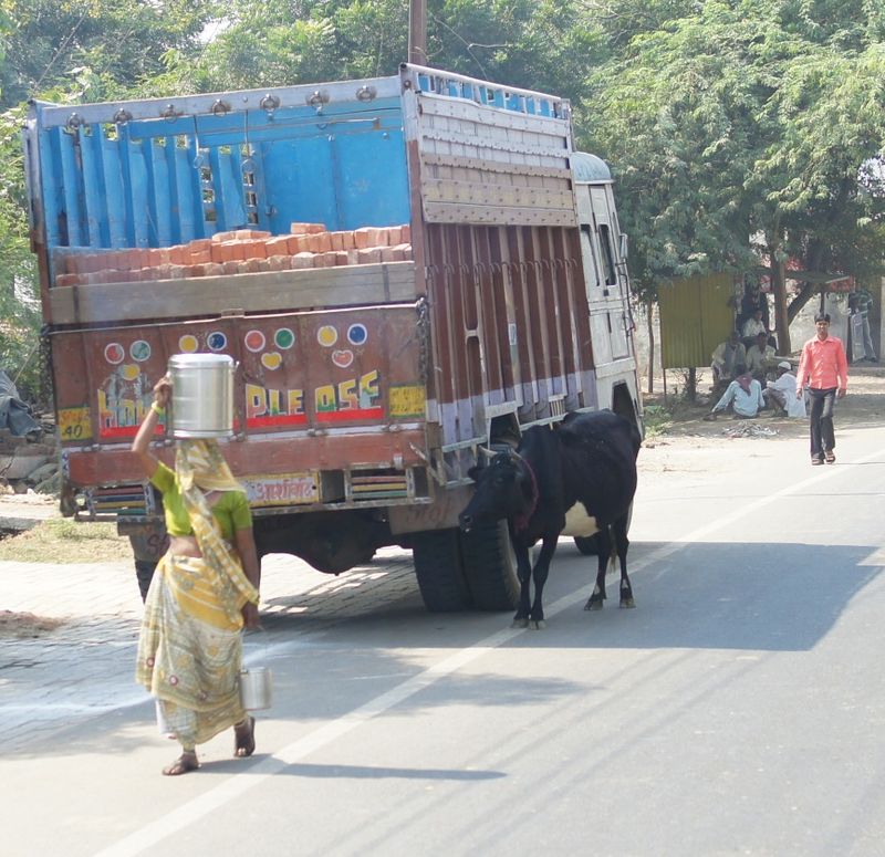 New delhi india 3 51