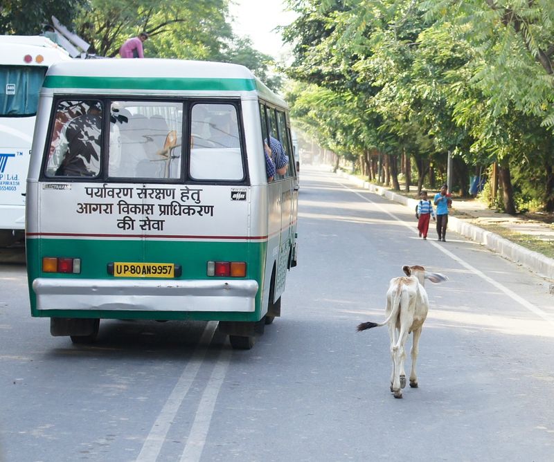 New delhi india 3 59