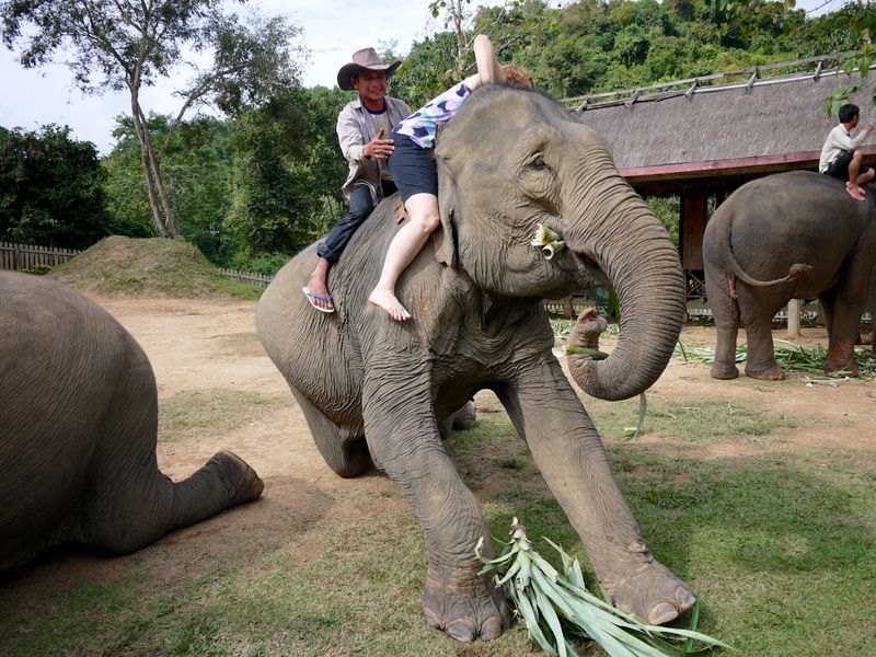 ELEPHANT RIDE 13