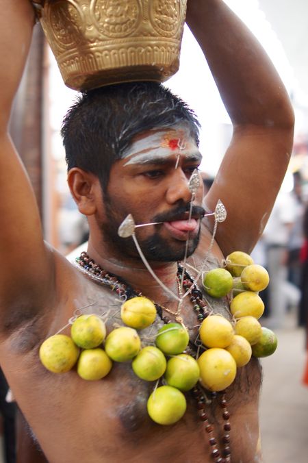 Thaipusam 10