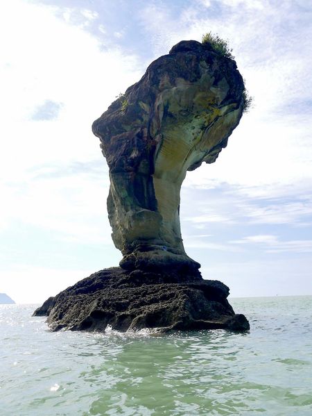 Pink - kuching 398 copy