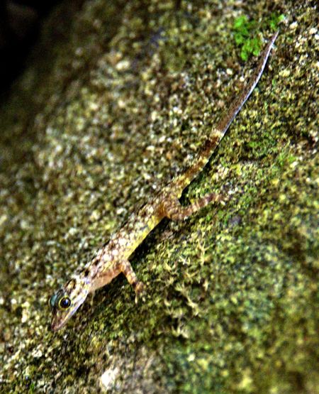 D's - kuching 3_edited-1