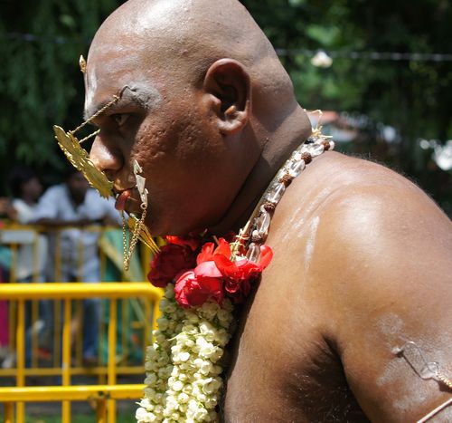 Thaipusam 309