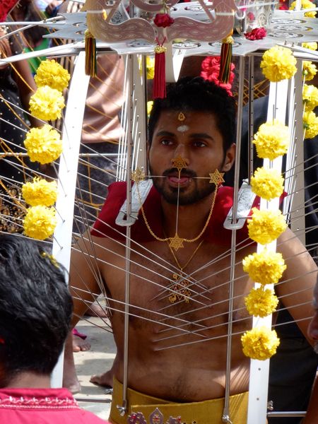 Thaipusam 336