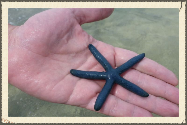 Philippines 57 Philippines 57