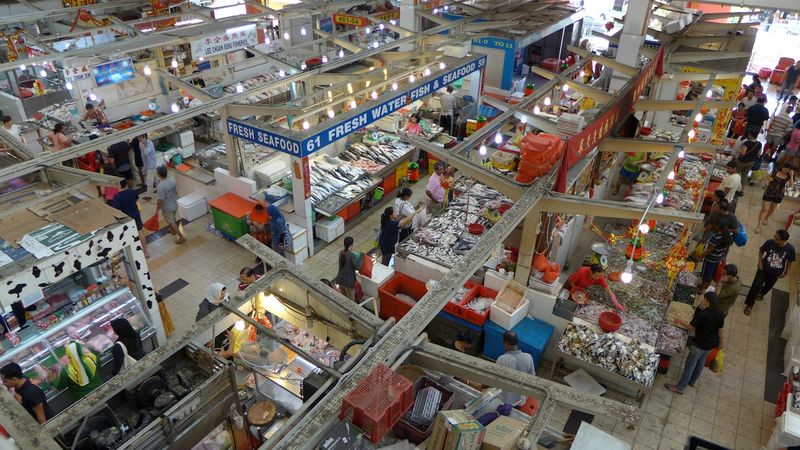 Tammy sing 14 Tammy sing 14