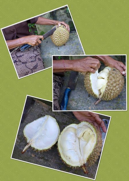 Durian2