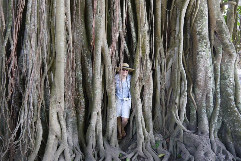 Yogyakarta borobudura 18 Yogyakarta borobudura 18