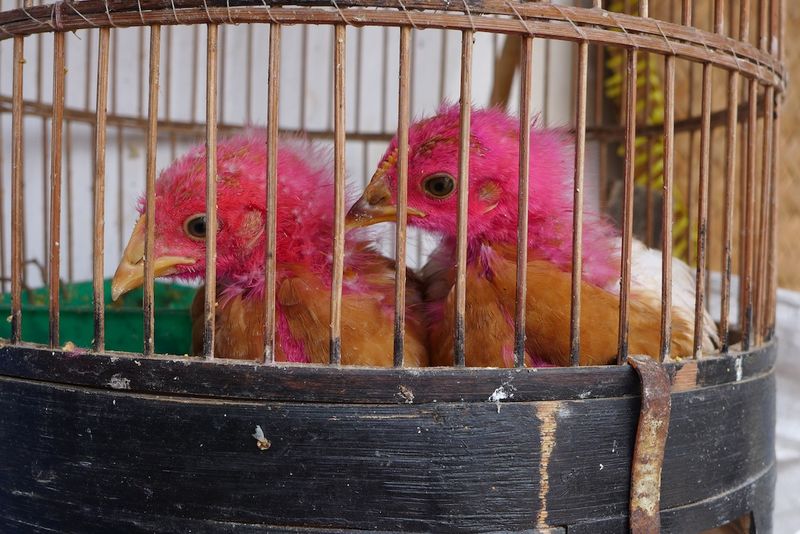 Yogyakarta borobudura 39 Yogyakarta borobudura 39