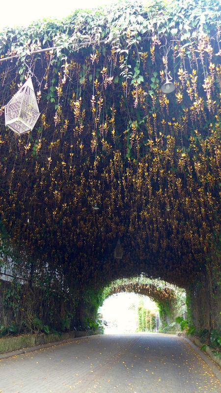 Bandung indonesia 54