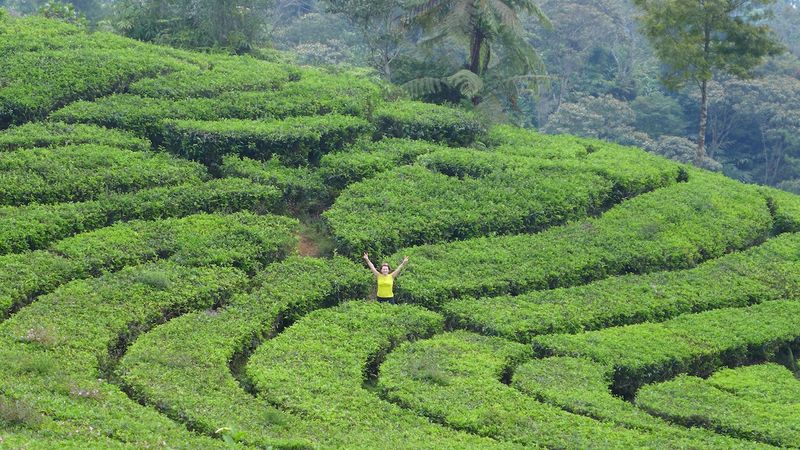 Bandung indonesia 45